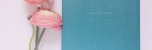 2016-2017 calendar beside pink flowers