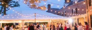 Festoon lights with wedding party