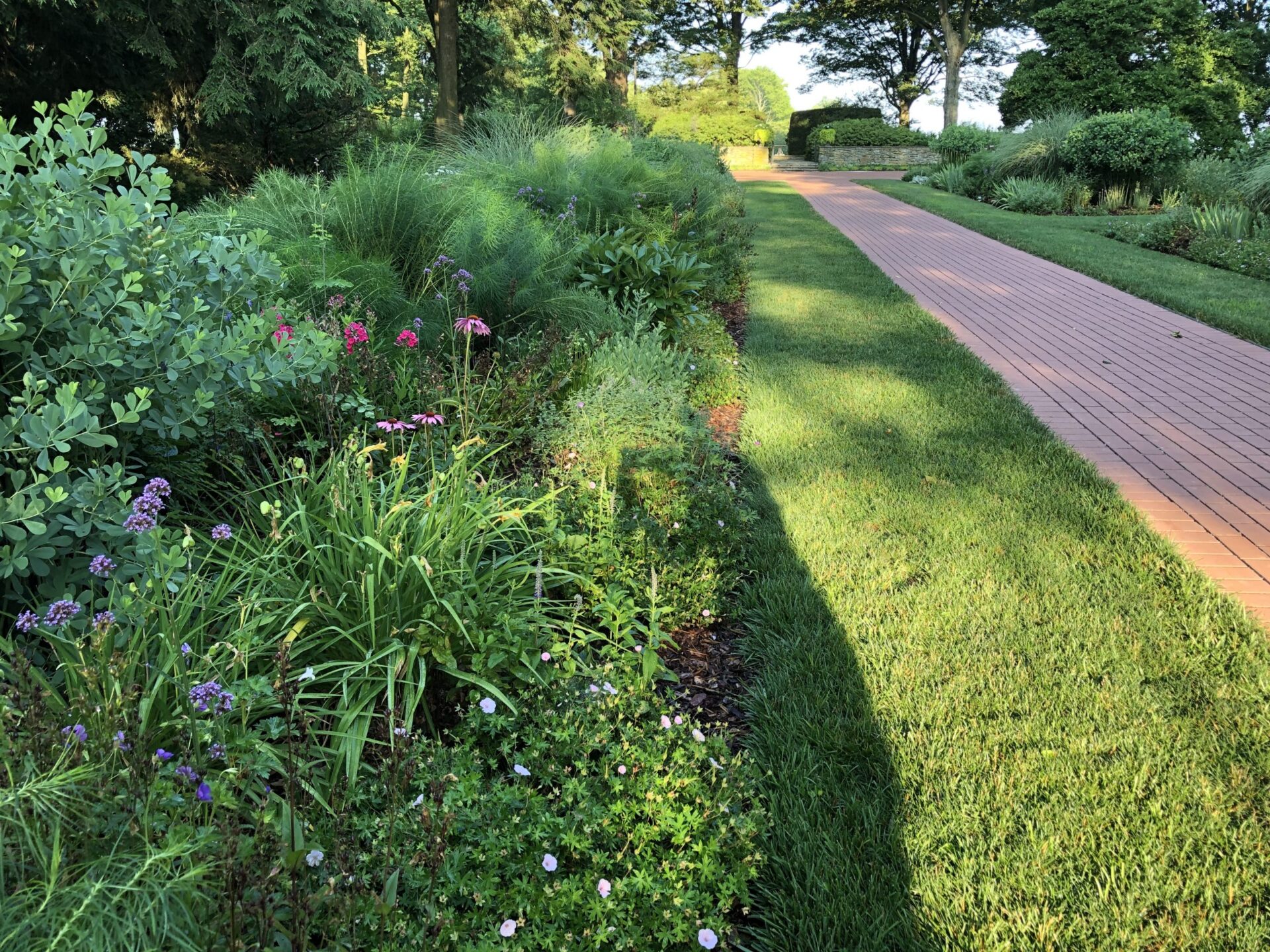 Drumore summer perennial beds