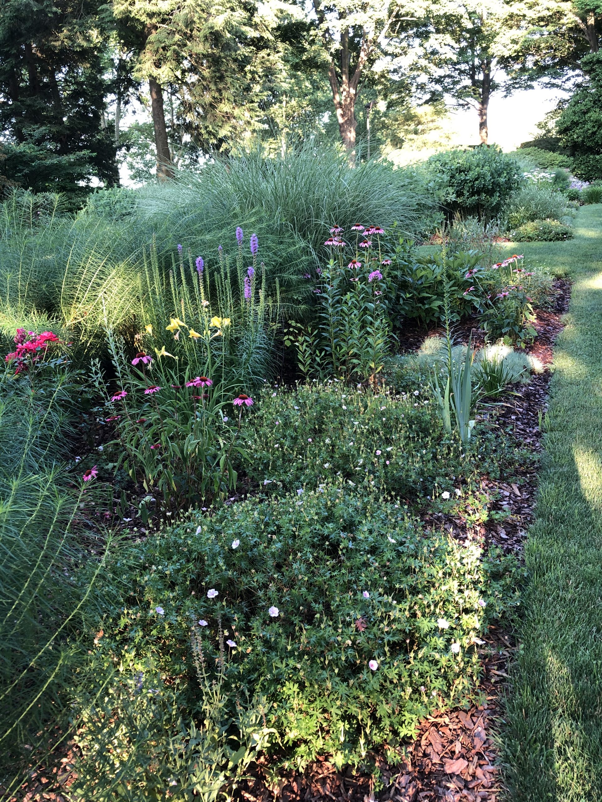 Drumore summer perennial beds