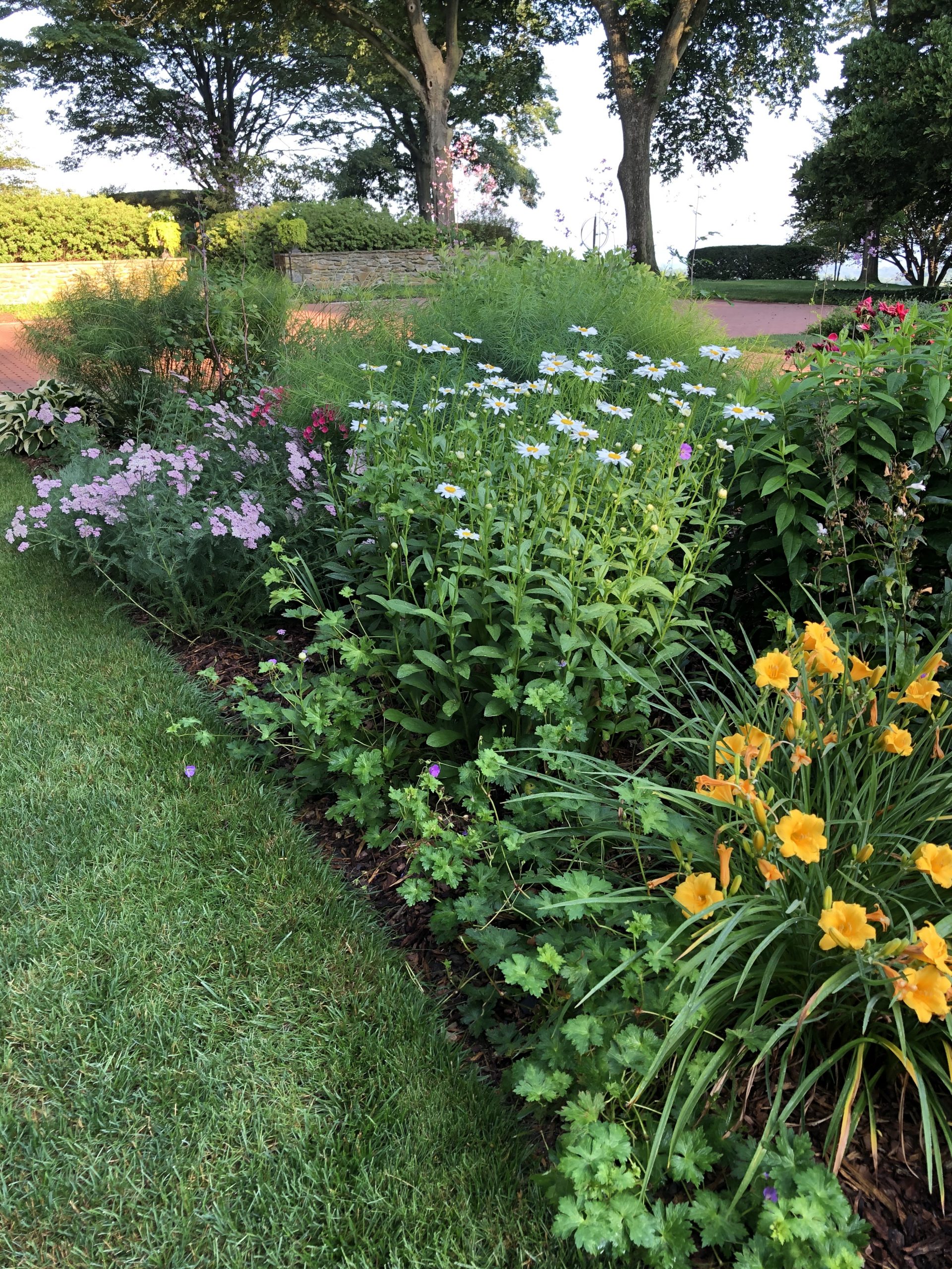 Drumore summer perennial beds