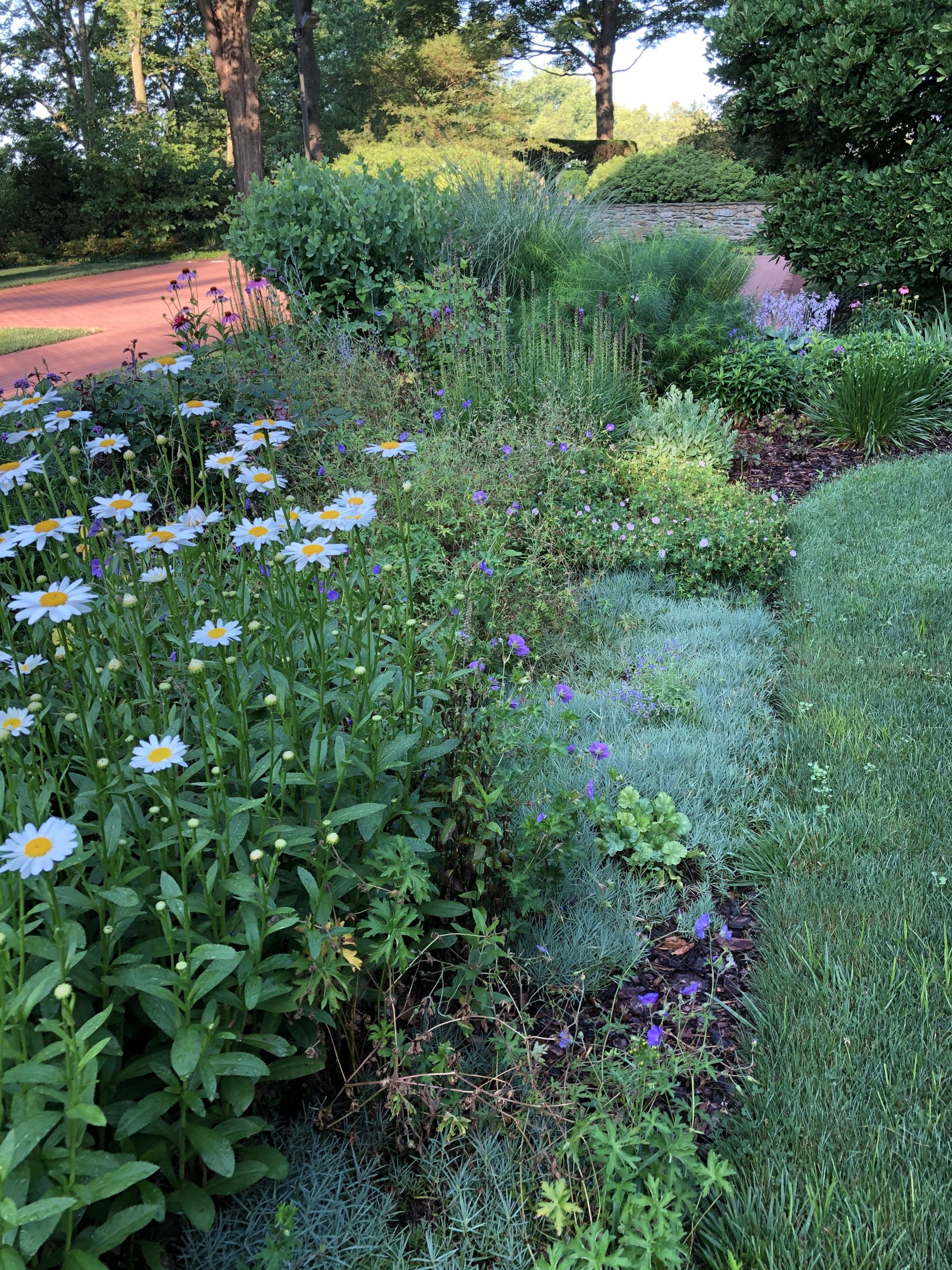 Drumore summer perennial beds