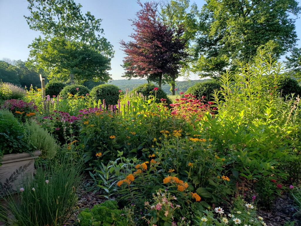 Drumore's pollinator garden