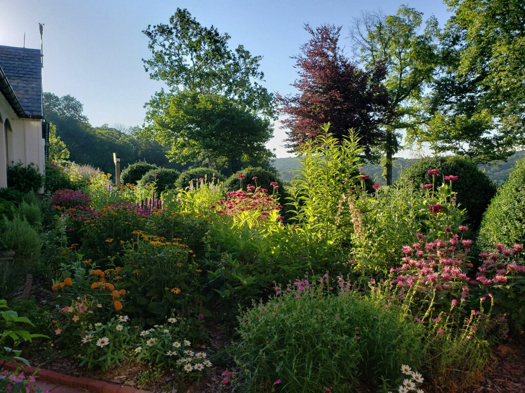 Drumore's pollinator garden for Butterflies