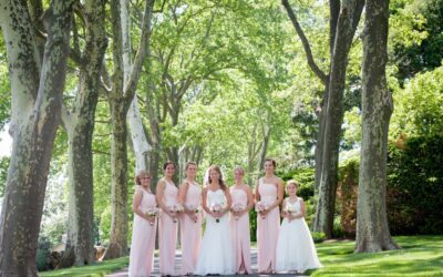 The Real Value of a Professional Wedding Photographer: What You Might Not Know