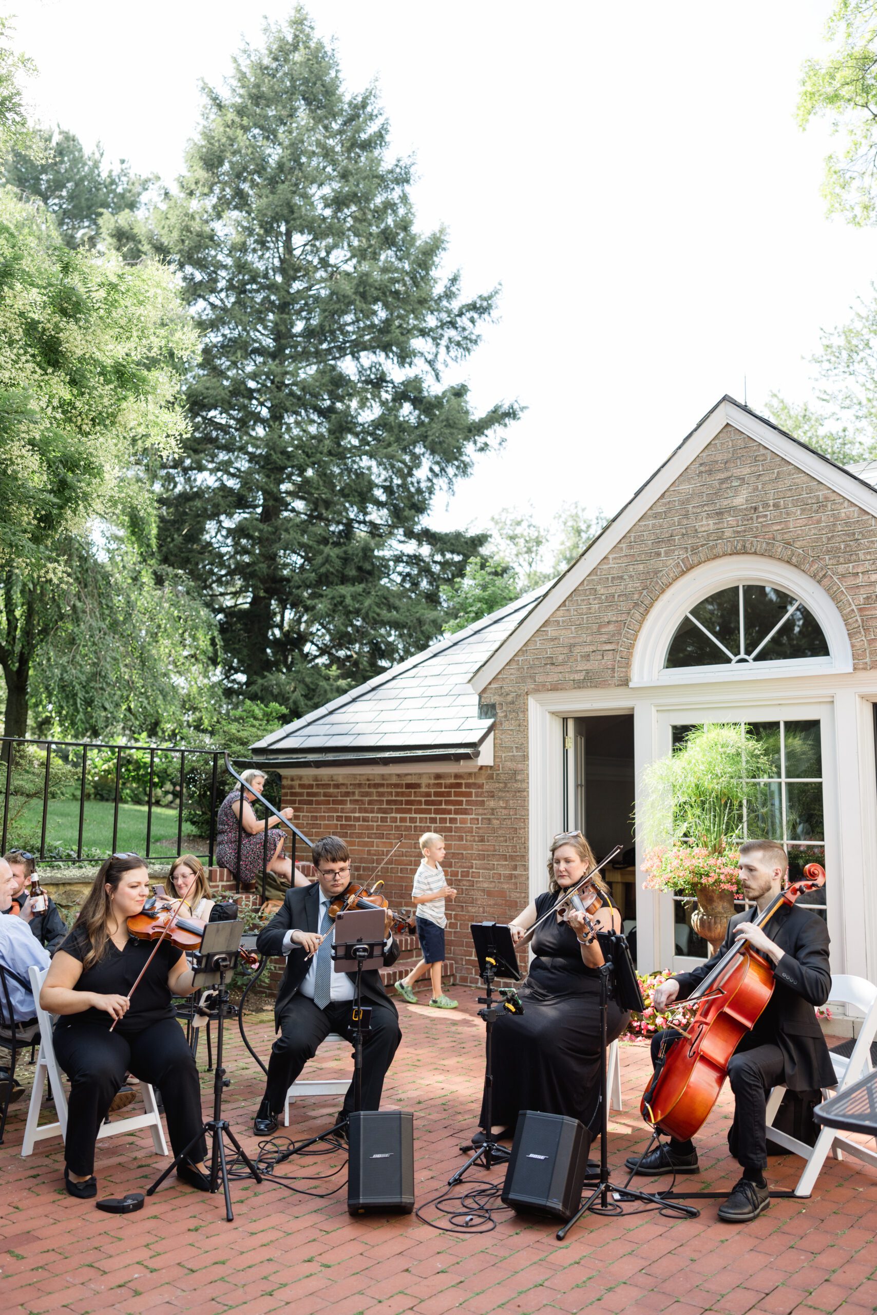 Catering cheese spread and bread on buffet table